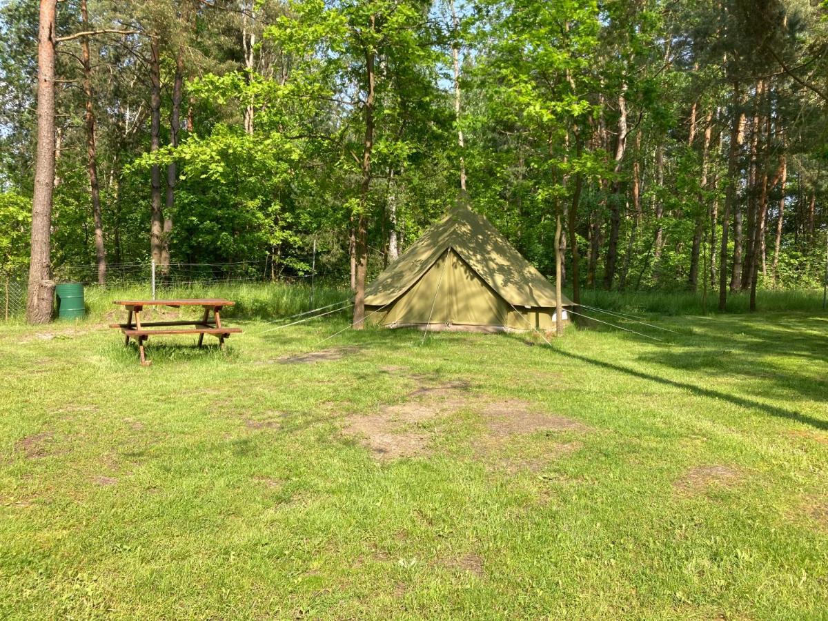 Lesne Zacisze-Pole Namiotowe Hotel Pisklaki Kültér fotó